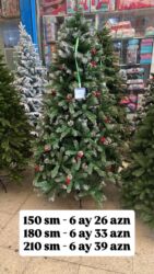 Süni güllər: Yeni il yolkası, bəzək üçün uyğundur. Keyfiyyətli, sıx budaqlı və