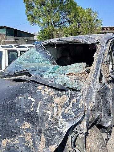 Kia: Kia Carnival: 2019 г., Минивэн — 7