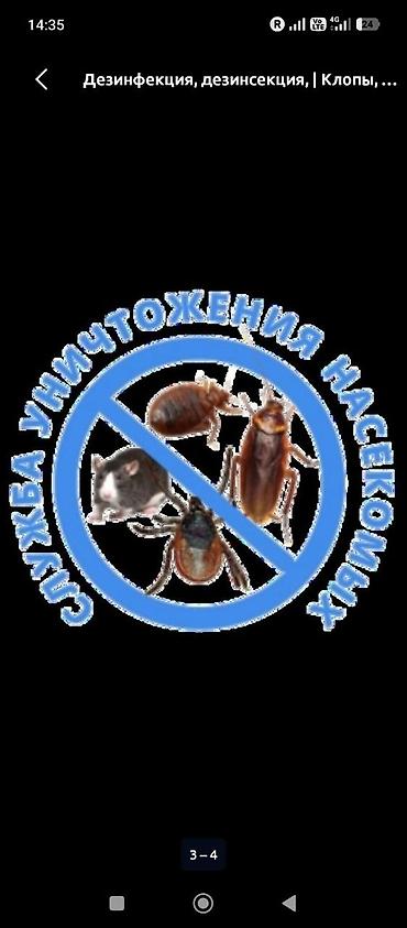 крот: Дезинфекция, дезинсекция, | Клопы, | Офисы — 4