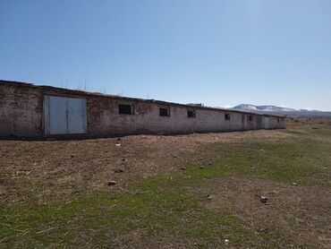 Сельхоз предприятия: Продаю Кошара, 50 соток, Действующий, Электричество, Канализация — 15