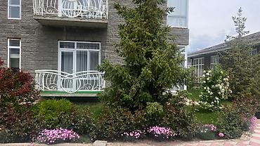 Долгосрочная аренда квартир: 2 комнаты, С мебелью полностью — 15