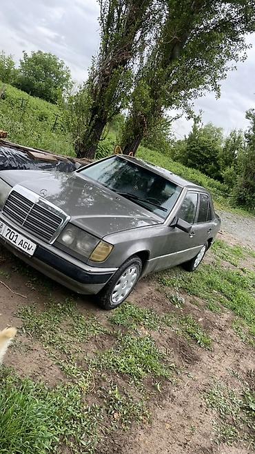 forester 2004: Mercedes-Benz W124: 1991 г., Механика, Бензин, Седан — 1