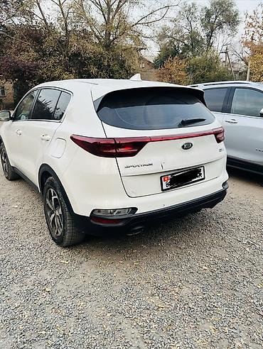 bad ass: Kia Sportage: 2019 г., 1.6 л, Автомат, Дизель, Кроссовер — 7