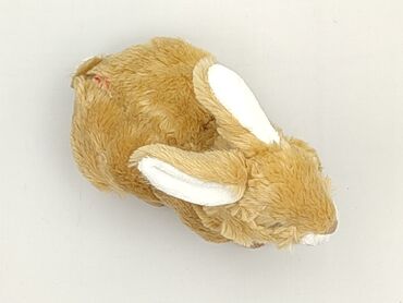 bluzki z misiem tous: Mascot Rabbit, condition - Very good