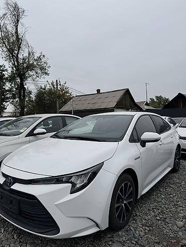Унаа: Toyota Levin: 2023 г., Гибрид, Седан — 2