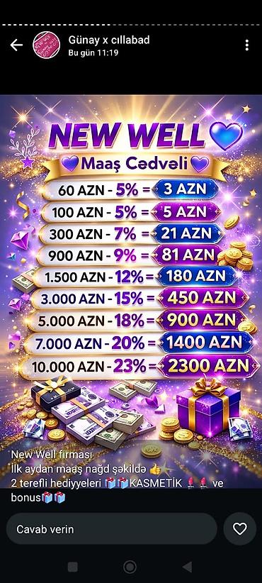 Gözəllik Salonları: New Well – gəlir cədvəli və bonus proqramı - Maaş cədvəli (faizlə — 1