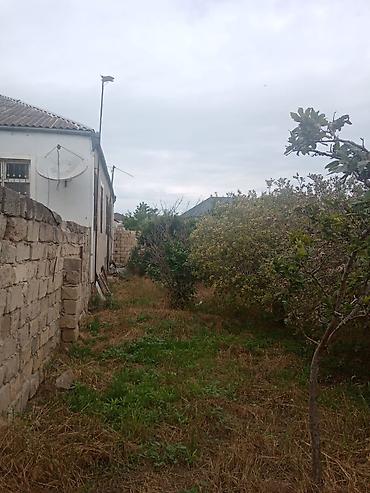 Həyət evləri və villaların satışı: 4 otaqlı, 146 kv. m — 11
