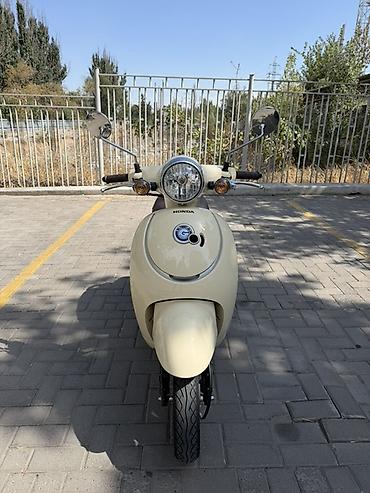 сдаю мопед: Мини мопед Honda, 50 куб. см, Бензин, Б/у — 5