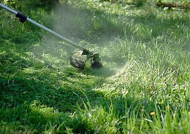 Уборка территории: Уборка территории, Уборка двора и сада, Стрижка газона, Уход за деревьями — 4