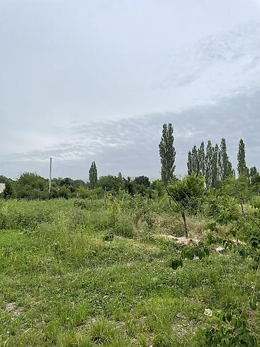 10 соток, Для сельского хозяйства, Красная книга