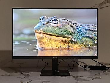 Мониторы: Монитор, Philips, Новый, LCD, 23" - 24" — 25