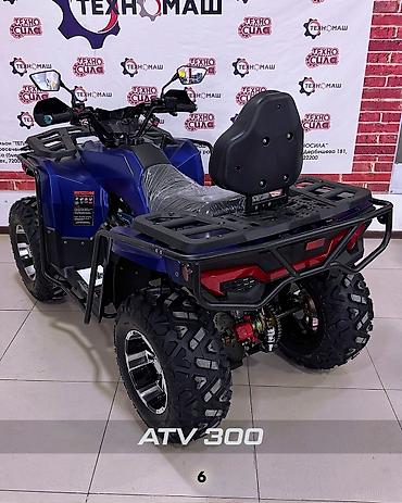 Квадроциклы: Квадроцикл Бензин, 320 куб. см, Взрослый — 6