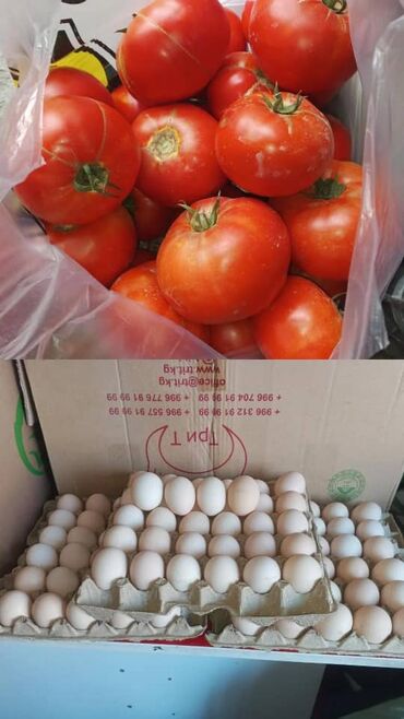 купить коробки для пиццы: Яйца куриные, свежие, в удобных картонных лотках. Каждый лоток
