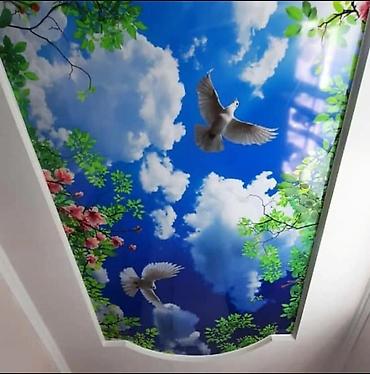 Натяжной потолок: Натяжной потолок 3D потолки, Глянцевое, Матовое Бесплатный замер, Бесплатная консультация, Гарантия — 3