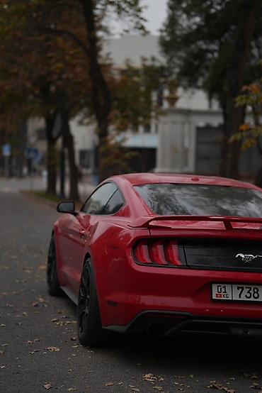 ford rapter: Ford GT: 2018 г., Автомат, Бензин, Купе — 4