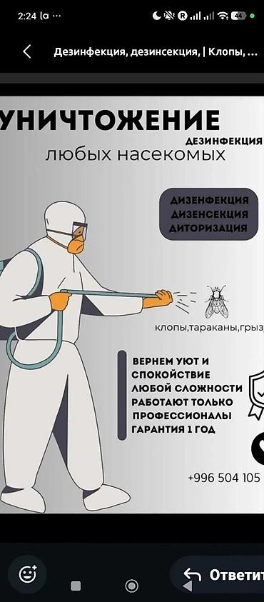 антижучок бишкек: Дезинфекция, дезинсекция, | Клопы, | Подвал, погреб — 5