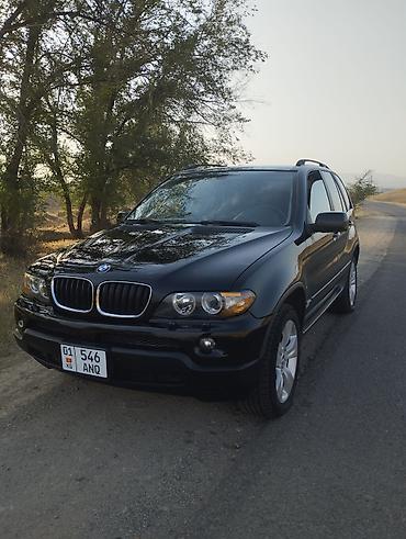 BMW: BMW X5: 2004 г., 3 л, Автомат, Бензин, Внедорожник — 4