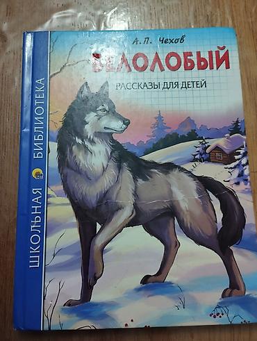 Testlər: Testlər dimlər çox satlyda kitablar mövcuddur istəyən əlaqə saxlaya — 9