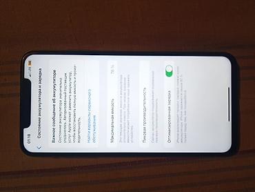 кармин часы: IPhone Xs Max, Колдонулган, 256 ГБ, Күмүш, Кабель, Каптама, 76 % — 1