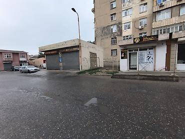 bileceri: 40 sot, Bələdiyyə — 2