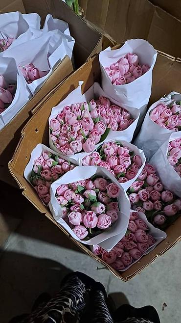 Букеты из живых цветов: Тюльпаны в крафт-упаковке — оптовые и розничные букеты. - — 10