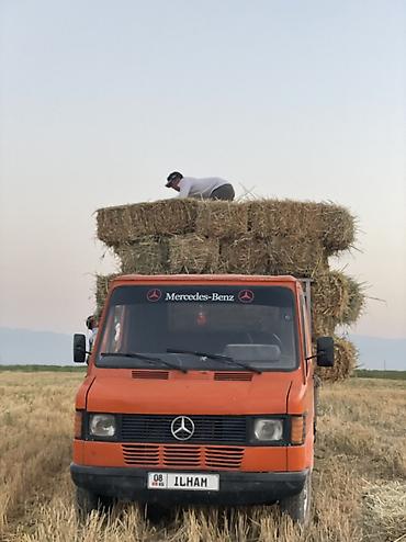Грузовик, Mercedes-Benz, Стандарт, 4 т, Б/у