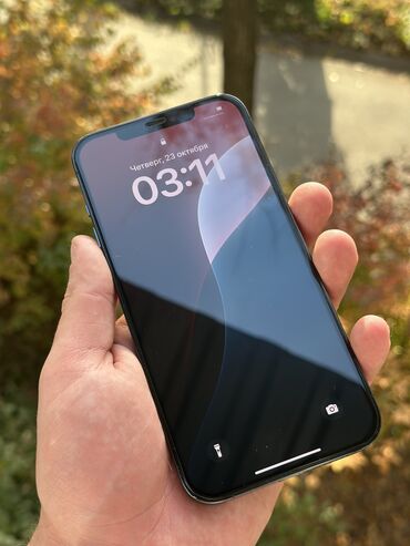 про макс: IPhone 12 Pro Max, Колдонулган, 256 ГБ, Pacific Blue, Кулакчындар, Заряддоочу түзүлүш, Коргоочу айнек, 91 %