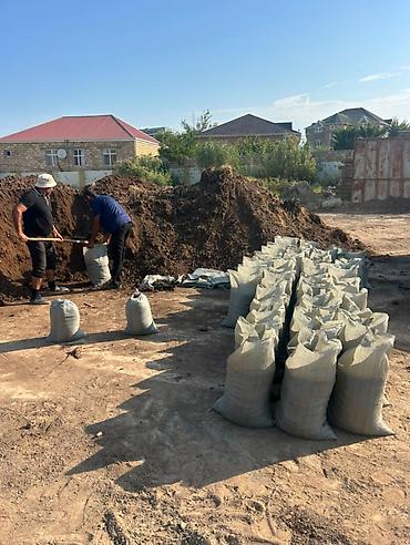 Qara Torpaq Peyin Şamaxı İsmayıllı torpaqi kamaz,zil,meşok ilə satiş lalafo.az -da Qara Torpaq Peyin Şamaxı İsmayıllı torpaqi kamaz,zil,meşok ilə satiş