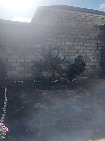 Həyət evləri və villaların satışı: Həyət evi - Tək mərtəbəli, eyvanlı giriş: pilləkənlərlə qaldırılmış — 5