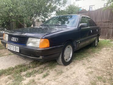 радной краска ауди: Audi 100: 1989 г., 2.3 л, Механика, Бензин, Седан