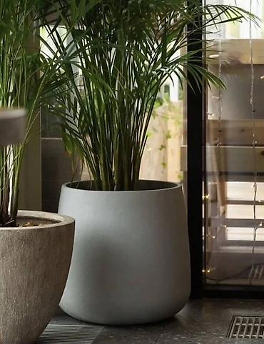 plants: ✨ Стиль Вашего Офиса/Дома/Террасы начинается с Роскошных Деталей ✨ 👉 — 2