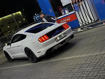 byd e6: Ford Mustang: 2016 г., 2.3 л, Автомат, Бензин, Купе — 4