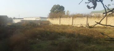 Torpaq sahələrinin satışı: 5 sot, Kupça (Çıxarış) — 3