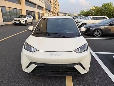 крылья феи: BYD Seagull: 2024 г., Электромобиль, Хэтчбэк — 1