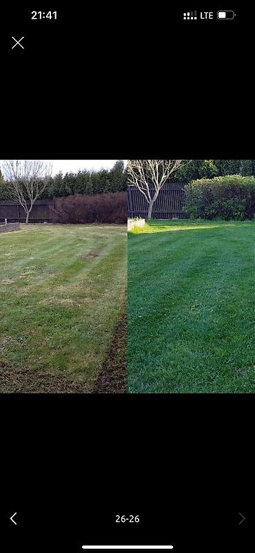 Дворники, садовники: 🌱Я садовник приходящий раз в неделю уборку сада генеральный уборка at lalafo.kg — 23 Дворники, садовники: 🌱Я садовник приходящий раз в неделю уборку сада генеральный уборка — 23