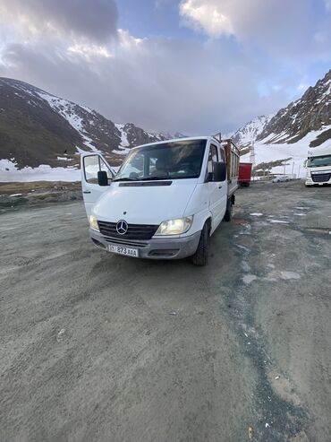 бругмансия купить: Mercedes-Benz Спринтер: 2001 г., 2.2 л, Механика, Дизель, Универсал