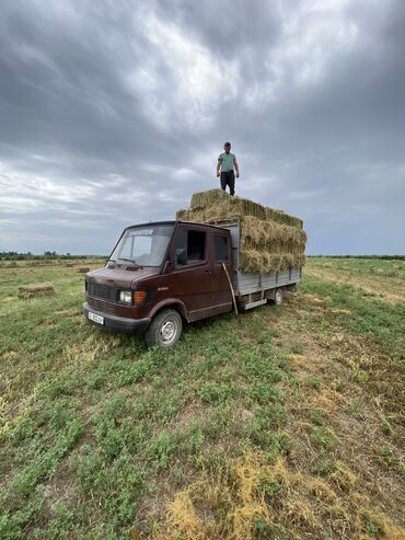 фары на опель вектра б: Mercedes-Benz Спринтер: 1989 г., 2.9 л, Механика, Дизель, Бус