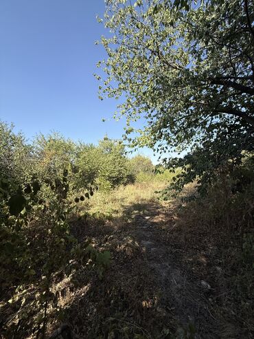 Продажа домов: Дом, 43 м², 3 комнаты, Агентство недвижимости, Старый ремонт — 16