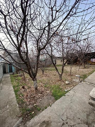 Продажа домов: Дом, 65 м², 4 комнаты, Агентство недвижимости, Евроремонт — 12