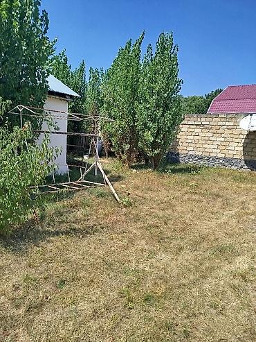 Günlük kirayə evlər: 700 kv. m, 3 otaqlı, Kanalizasiya, Qaz, Su -da lalafo.az — 15 Günlük kirayə evlər: 700 kv. m, 3 otaqlı, Kanalizasiya, Qaz, Su — 15