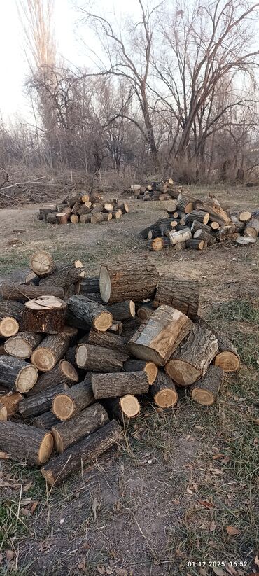 Дрова: Дрова Карагач, Самовывоз — 15