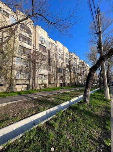 квартира льва толстого: 3 комнаты, 70 м², Индивидуалка, 3 этаж, Евроремонт