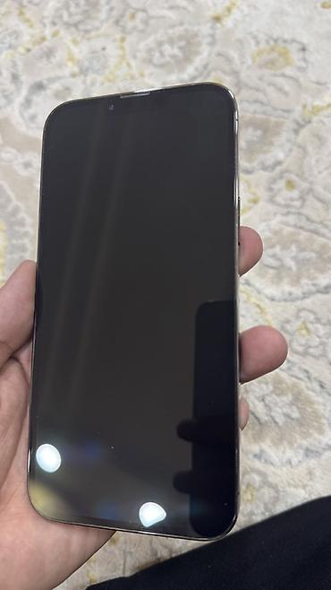 vivoactive 5: IPhone 13 Pro Max, 512 ГБ - Модель: iPhone 13 Pro Max (номер модели — 3