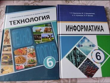 бегущий за ветром книга: Технология 6 класс, автор Ч. Мамбеталиев, состояние идеальное