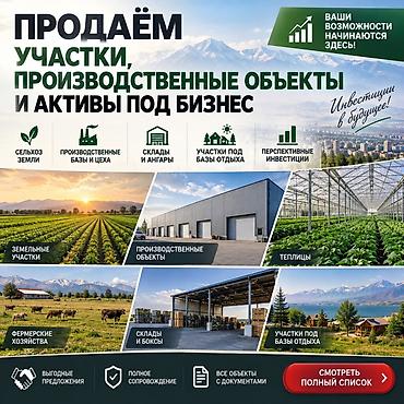 карабалте: 333 соток, Для бизнеса, Красная книга, Тех паспорт, Договор купли-продажи — 1