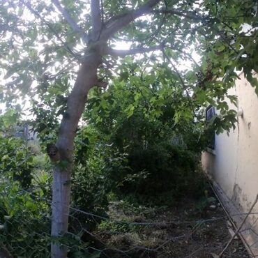 Həyət evləri və villaların satışı: 2 otaqlı, 60 kv. m, Kredit yoxdur, Orta təmir — 15