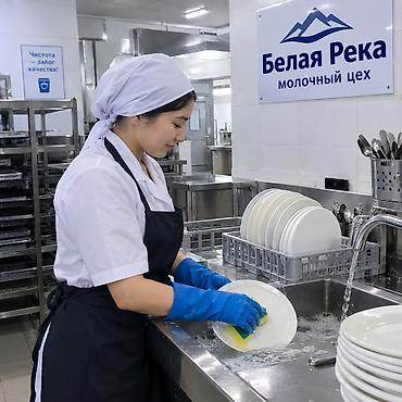 Требуется Посудомойщик, Оплата: Еженедельно
