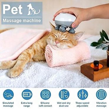 mikro it: Masajor, Vibro masajor, Bədən üçün, Yeni, Ünvandan götürmə, Pulsuz çatdırılma, Ödənişli çatdırılma — 2
