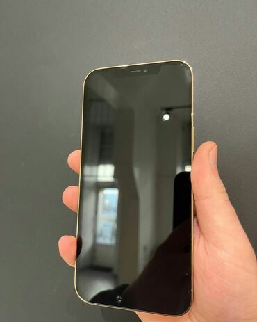 iphone xs qiyməti: IPhone 12 Pro Max, 256 ГБ, Золотой, Гарантия, Беспроводная зарядка, Face ID