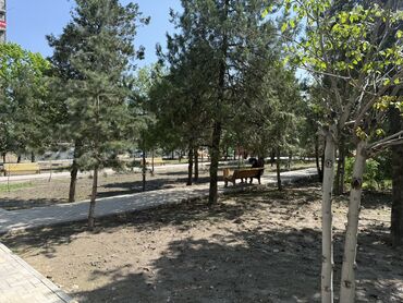 Новостройки от застройщика: Построен, Элитка, Студия, 49 м² — 16